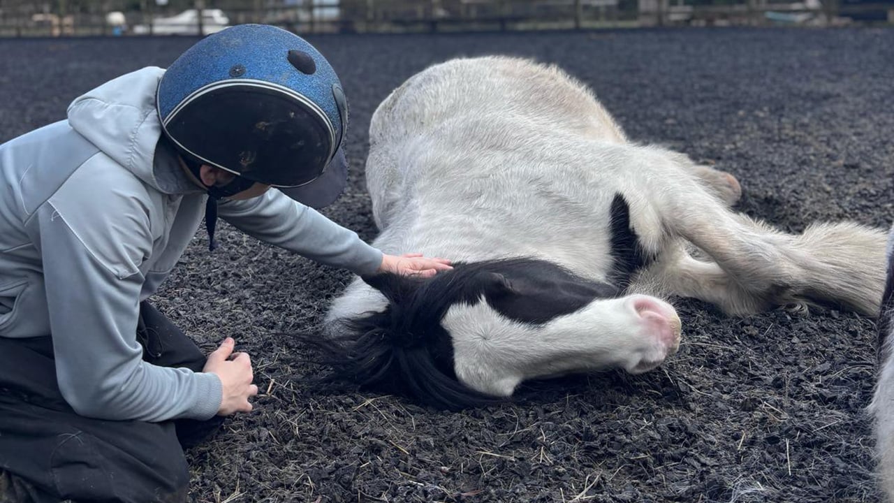 Tutor working outdoors at Maypole Farm with young people